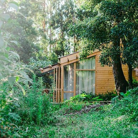 Cabanas Da Viscondessa Urzelina Bagian luar foto