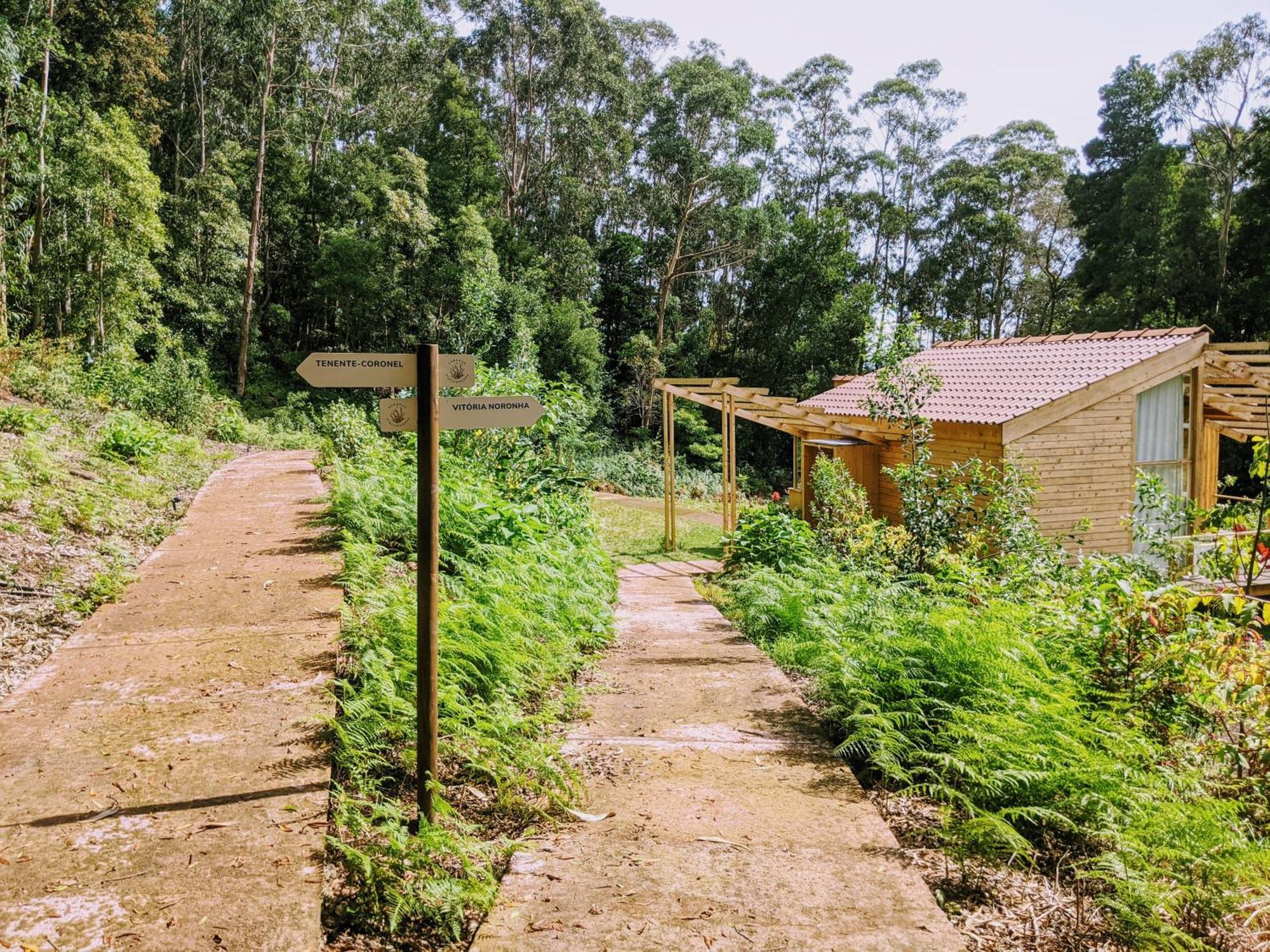Cabanas Da Viscondessa Urzelina Bagian luar foto