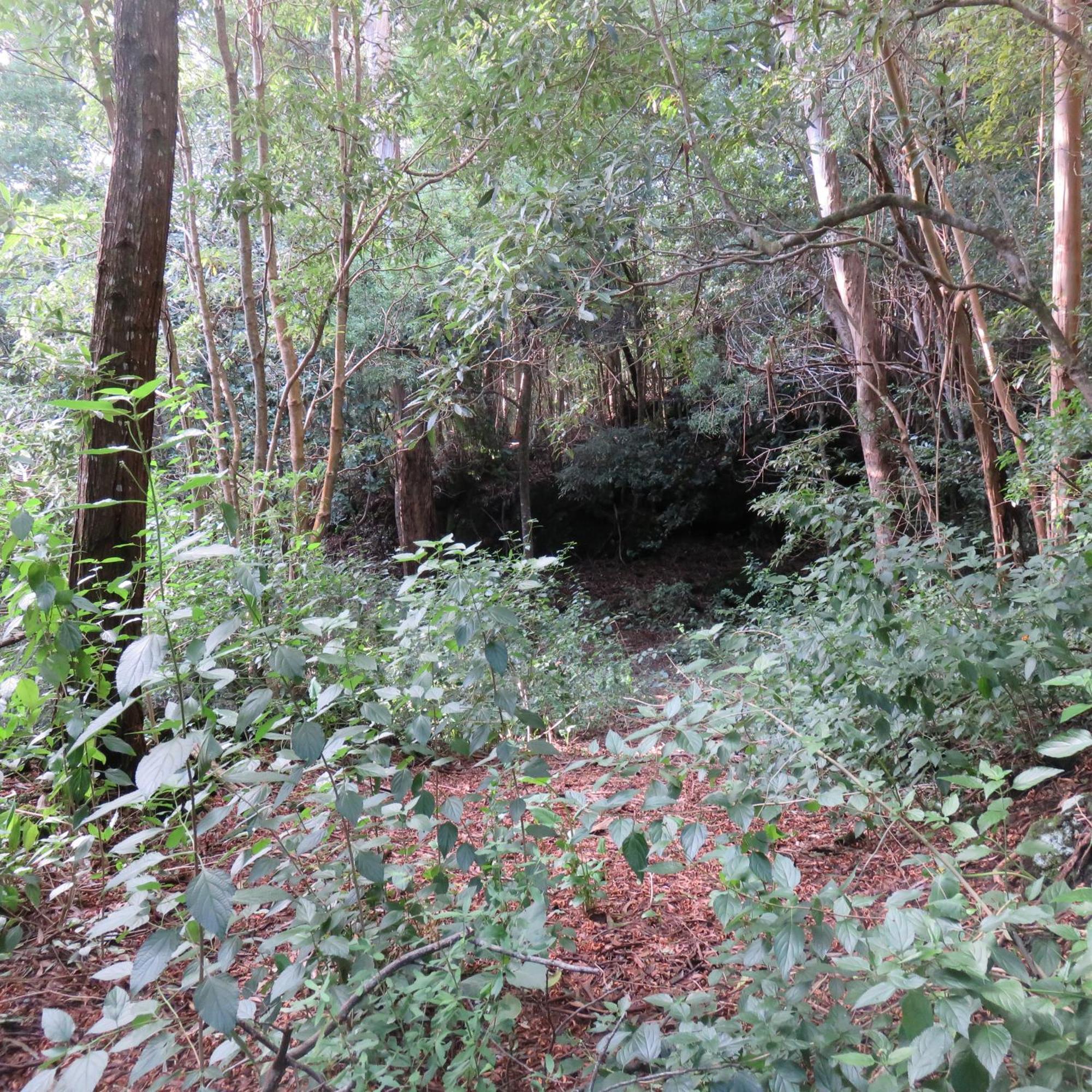 Cabanas Da Viscondessa Urzelina Bagian luar foto